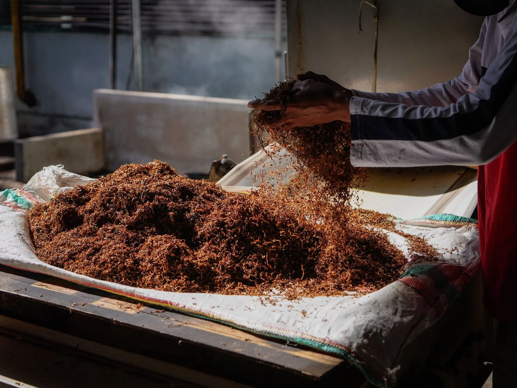 Hands blending tobacco leaves
